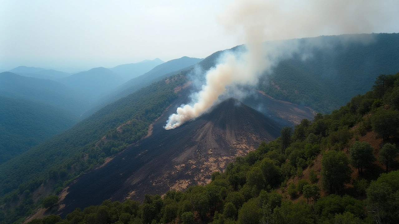 ICMBio conclui investigação sobre incêndio no Parque Nacional de Itatiaia e multa a Aman