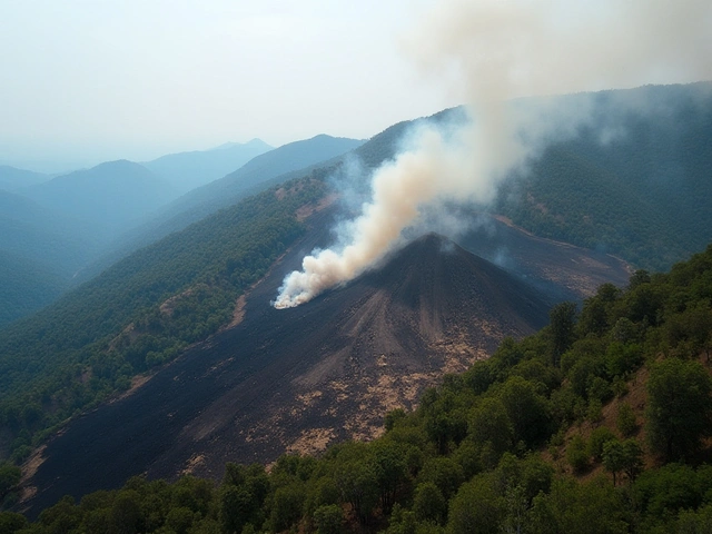 ICMBio conclui investigação sobre incêndio no Parque Nacional de Itatiaia e multa a Aman